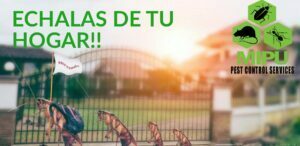 Servicios de control de plagas - MIPU