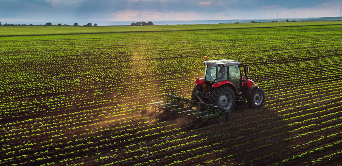 Servicios de control de plagas - MIPU