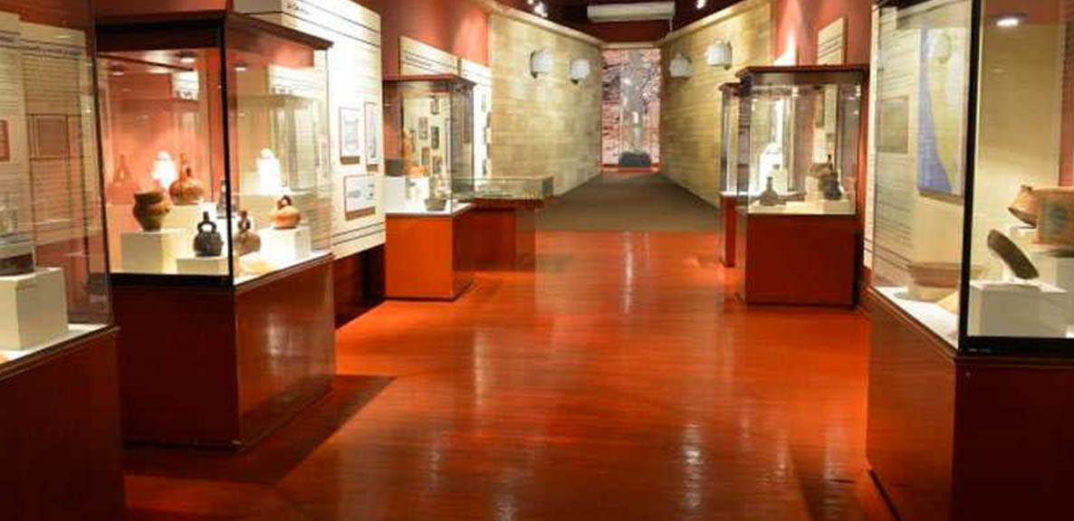 Servicios de control de plagas - MIPU