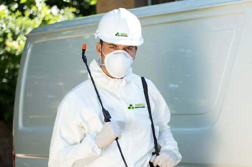 Servicios de control de plagas - MIPU