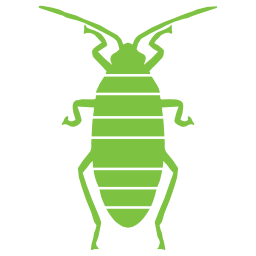 Servicios de control de plagas - MIPU