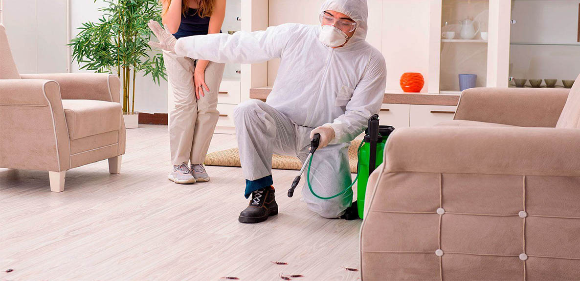 Servicios de control de plagas - MIPU