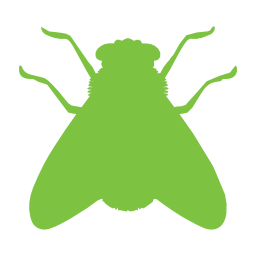 Servicios de control de plagas - MIPU